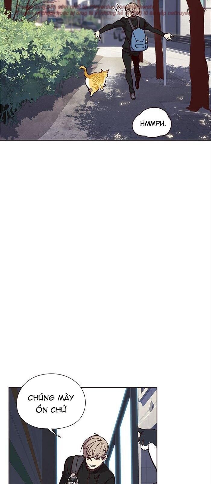 Hoá Thân Thành Mèo Chap 36 - Next Chap 37