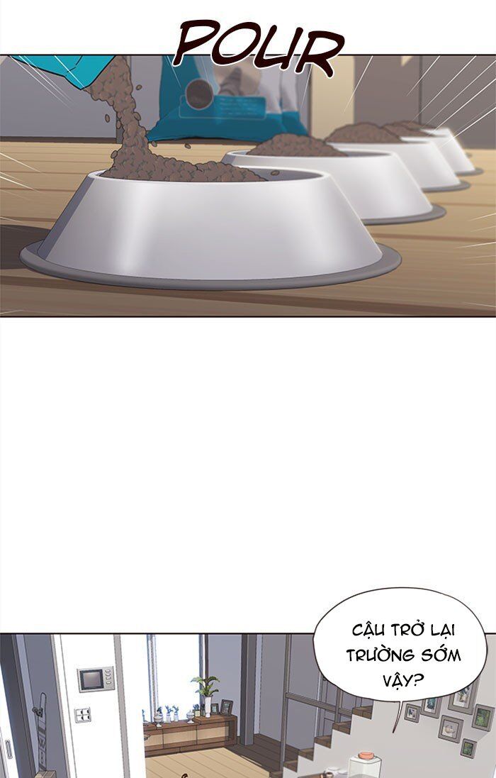 Hoá Thân Thành Mèo Chap 37 - Next Chap 38