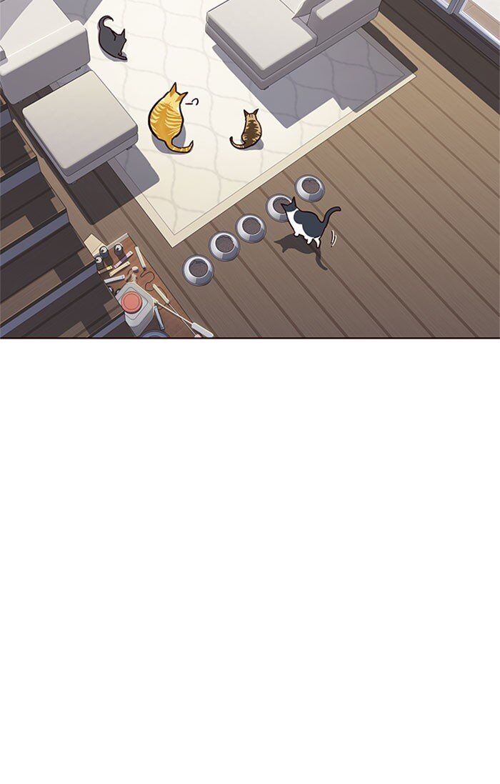 Hoá Thân Thành Mèo Chap 37 - Next Chap 38