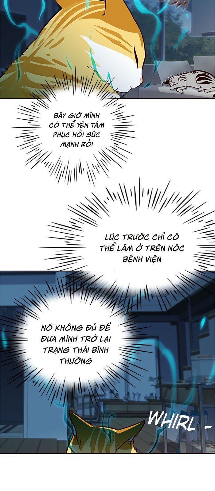 Hoá Thân Thành Mèo Chap 37 - Next Chap 38