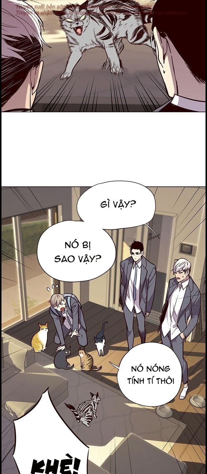 Hoá Thân Thành Mèo Chap 38 - Next Chap 39