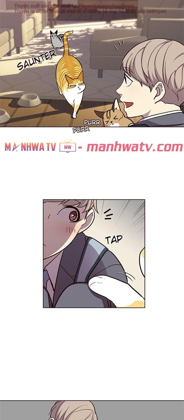 Hoá Thân Thành Mèo Chap 38 - Next Chap 39