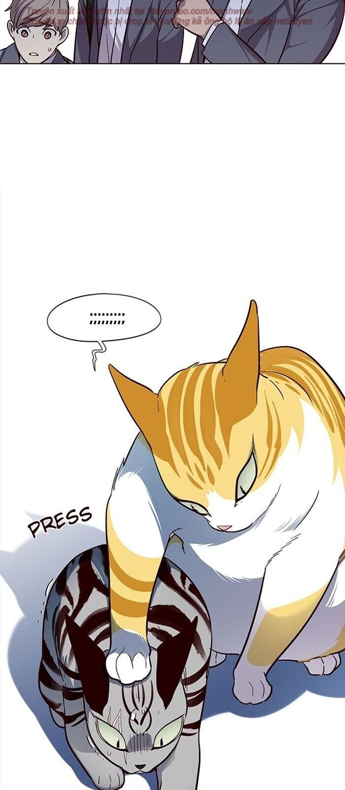 Hoá Thân Thành Mèo Chap 38 - Next Chap 39