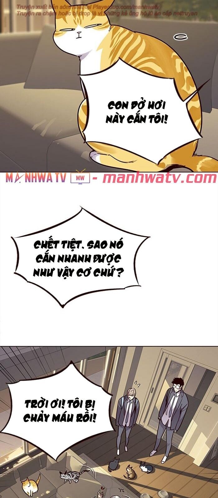 Hoá Thân Thành Mèo Chap 38 - Next Chap 39