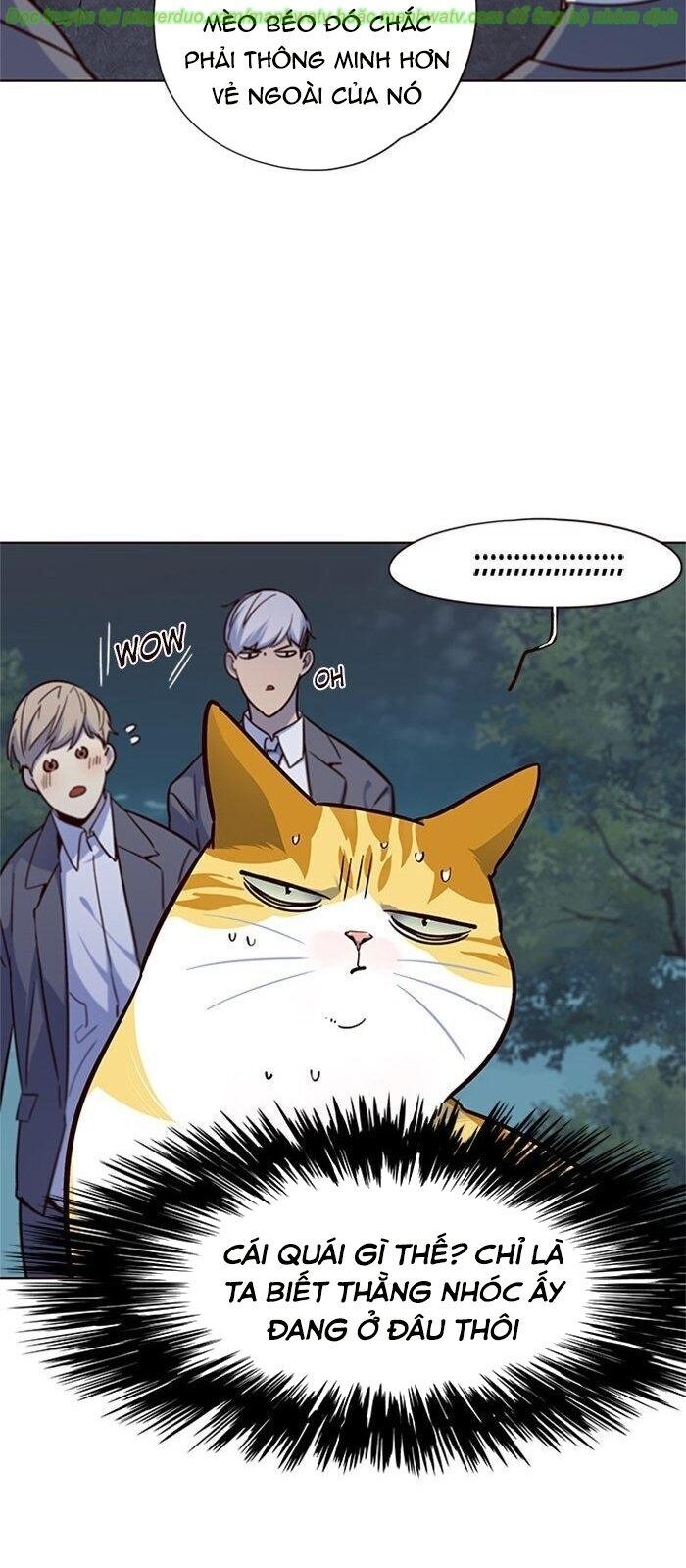 Hoá Thân Thành Mèo Chap 41 - Next Chap 42