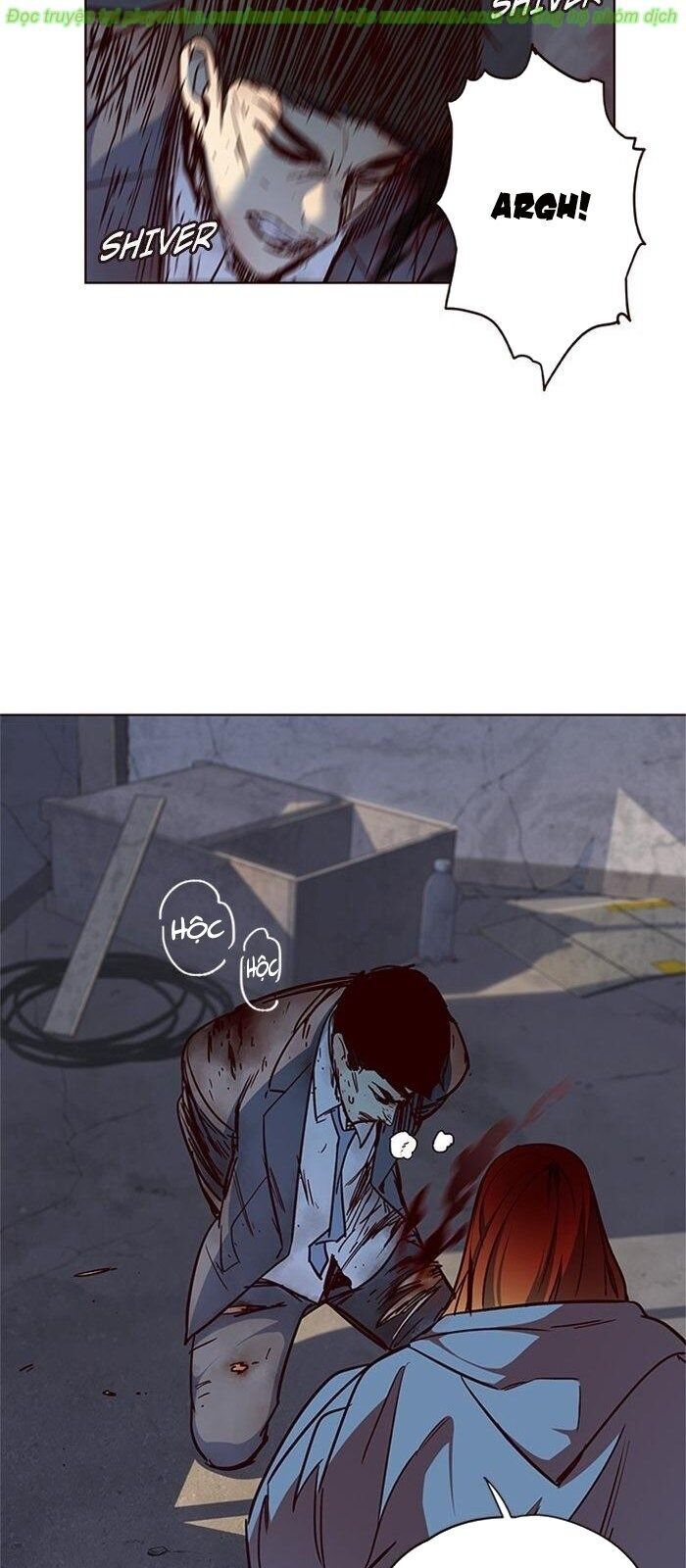 Hoá Thân Thành Mèo Chap 41 - Next Chap 42
