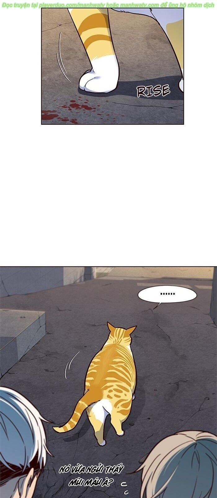 Hoá Thân Thành Mèo Chap 41 - Next Chap 42