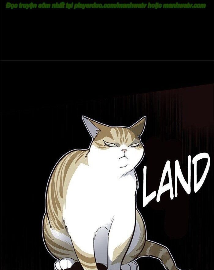 Hoá Thân Thành Mèo Chap 45 - Next Chap 46