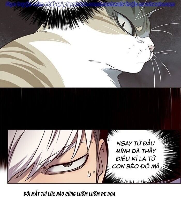 Hoá Thân Thành Mèo Chap 46 - Next Chap 47