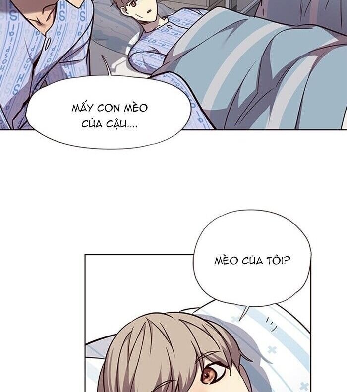 Hoá Thân Thành Mèo Chap 46 - Next Chap 47