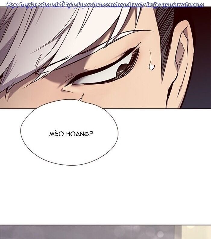 Hoá Thân Thành Mèo Chap 46 - Next Chap 47