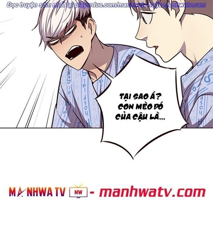 Hoá Thân Thành Mèo Chap 46 - Next Chap 47