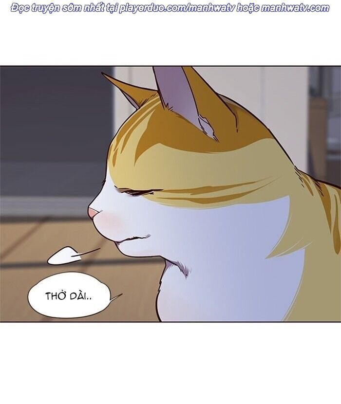Hoá Thân Thành Mèo Chap 46 - Next Chap 47