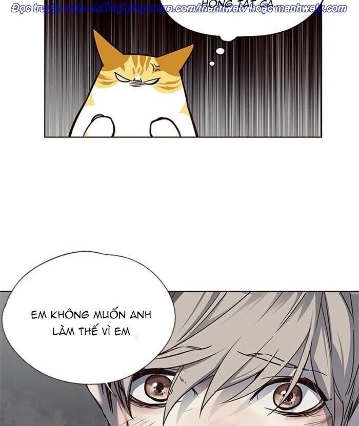 Hoá Thân Thành Mèo Chap 46 - Next Chap 47