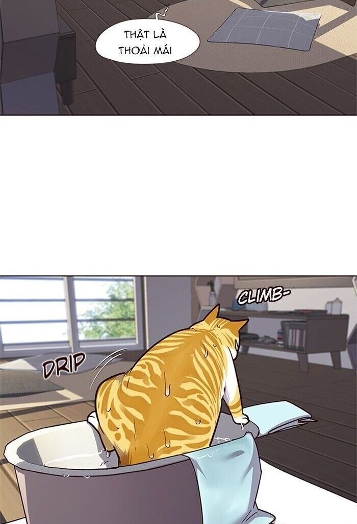 Hoá Thân Thành Mèo Chap 47 - Next Chap 48