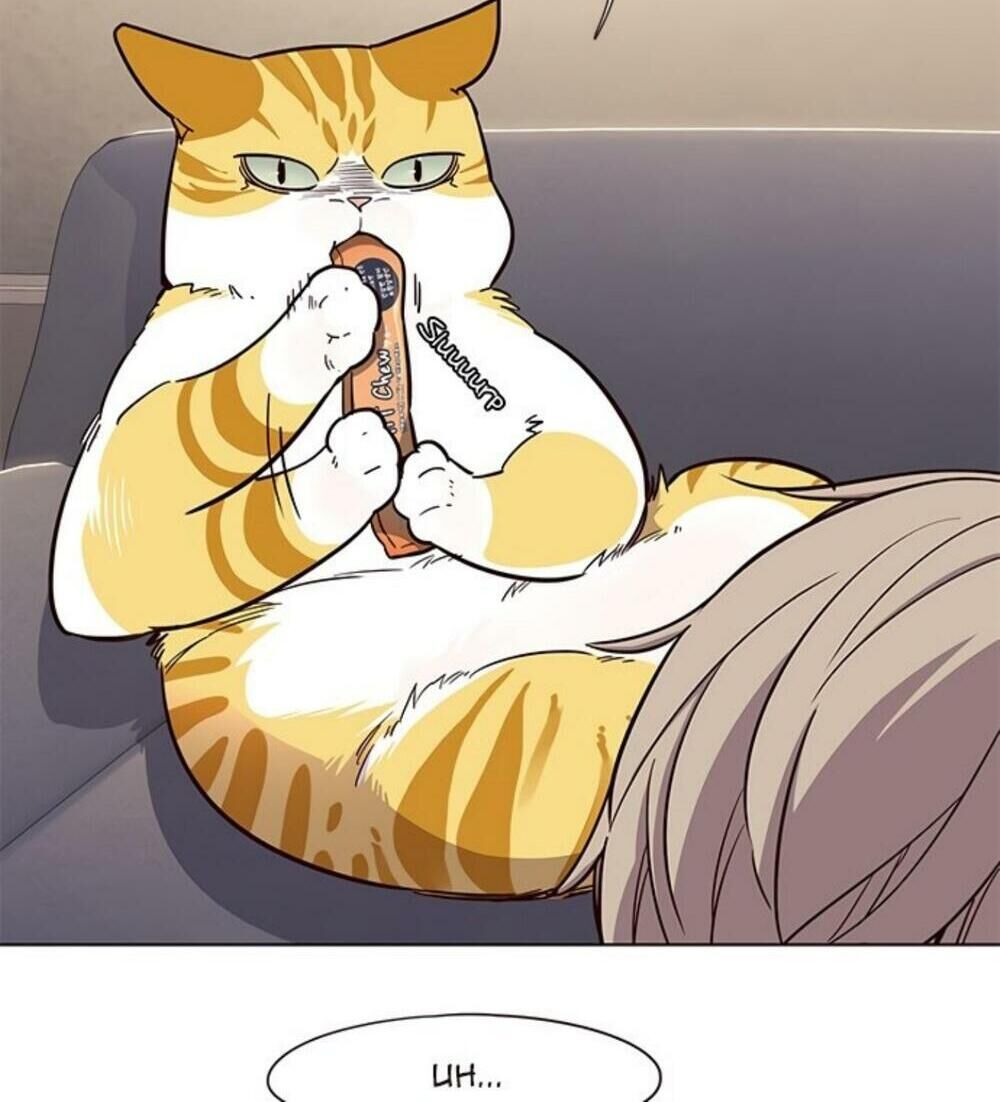 Hoá Thân Thành Mèo Chap 19 - Next Chap 20