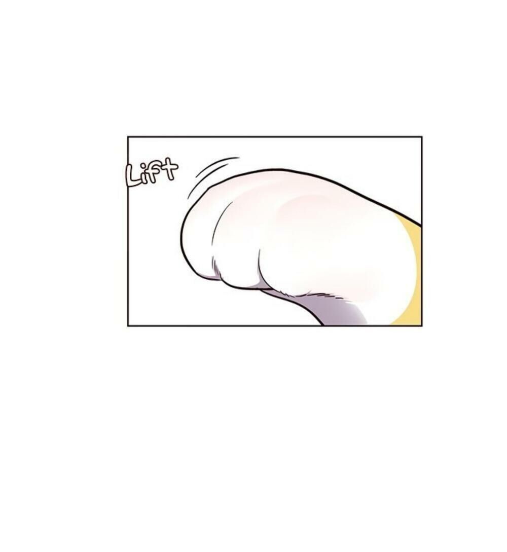 Hoá Thân Thành Mèo Chap 19 - Next Chap 20