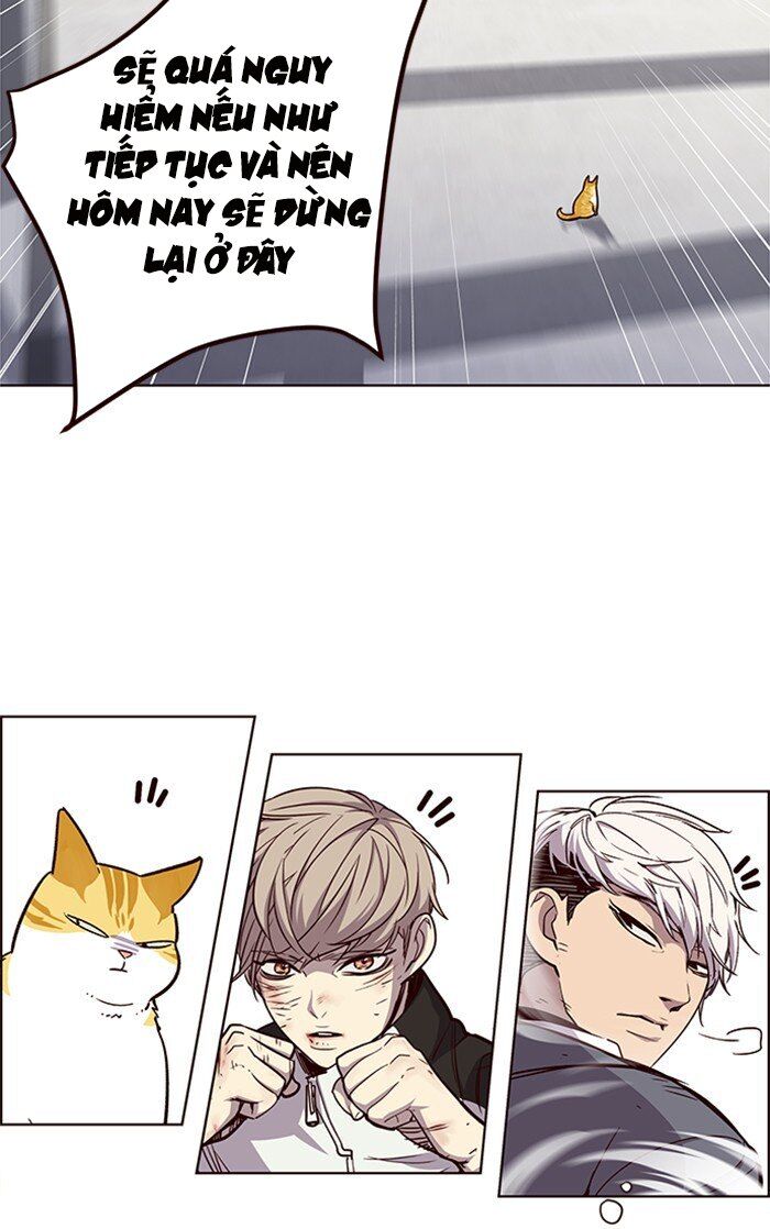 Hoá Thân Thành Mèo Chap 26 - Next Chap 27
