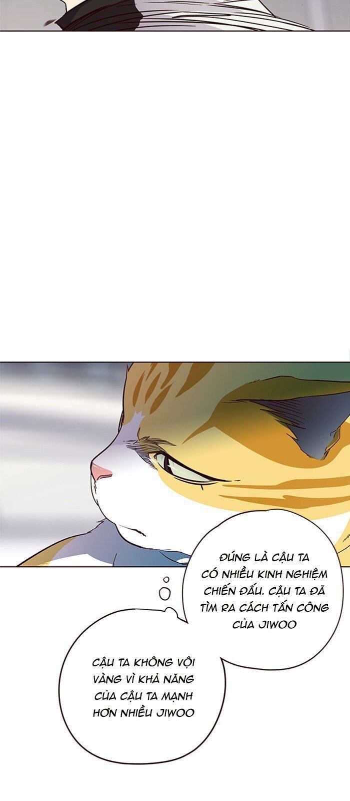 Hoá Thân Thành Mèo Chap 26 - Next Chap 27