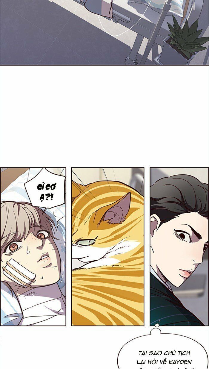 Hoá Thân Thành Mèo Chap 28 - Next Chap 29