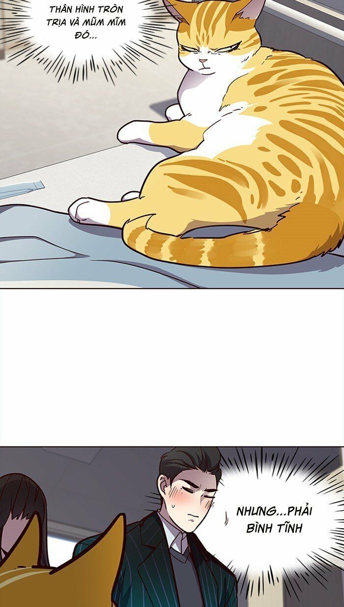 Hoá Thân Thành Mèo Chap 28 - Next Chap 29