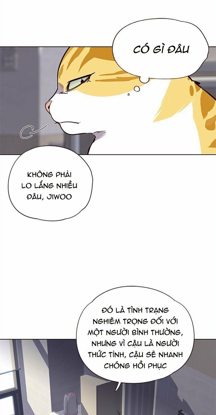 Hoá Thân Thành Mèo Chap 28 - Next Chap 29