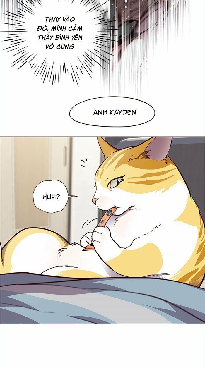 Hoá Thân Thành Mèo Chap 28 - Next Chap 29