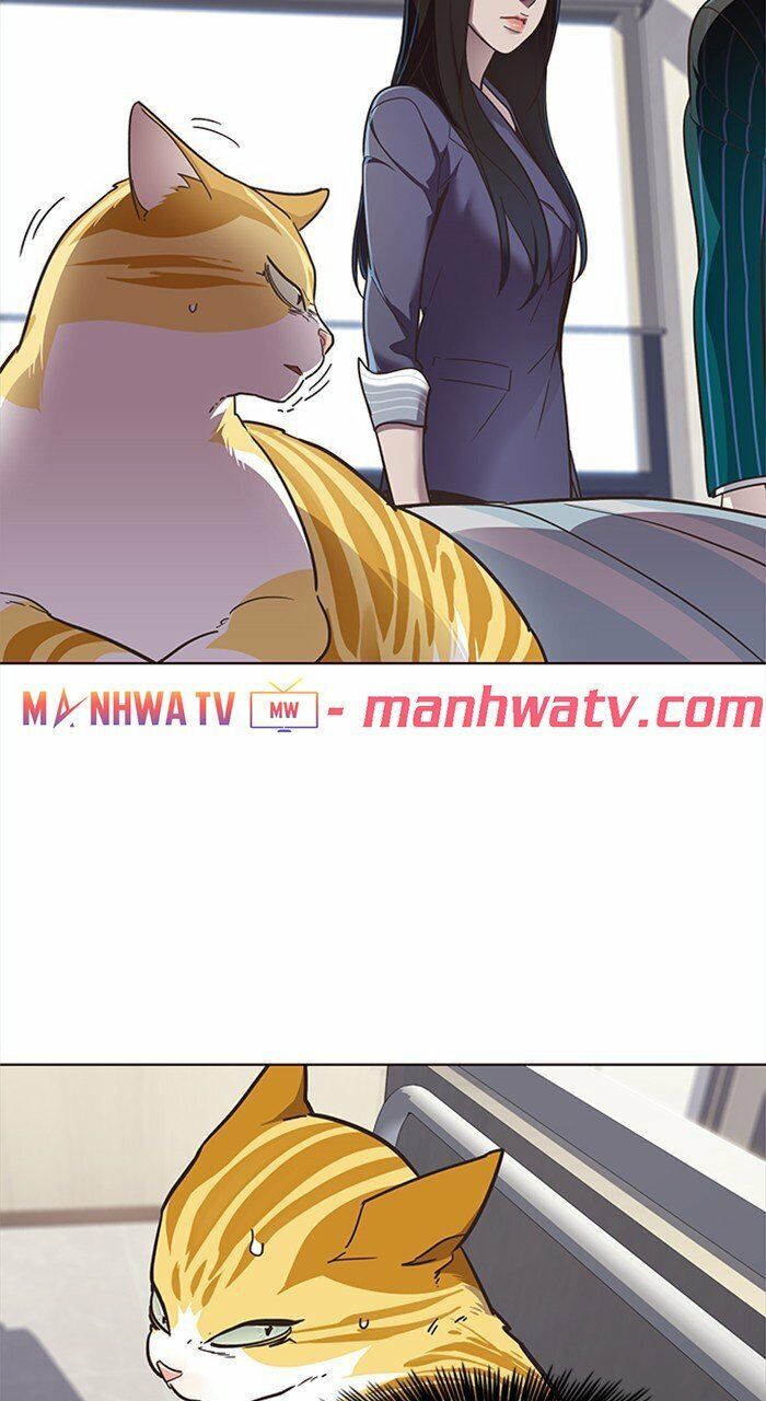 Hoá Thân Thành Mèo Chap 28 - Next Chap 29