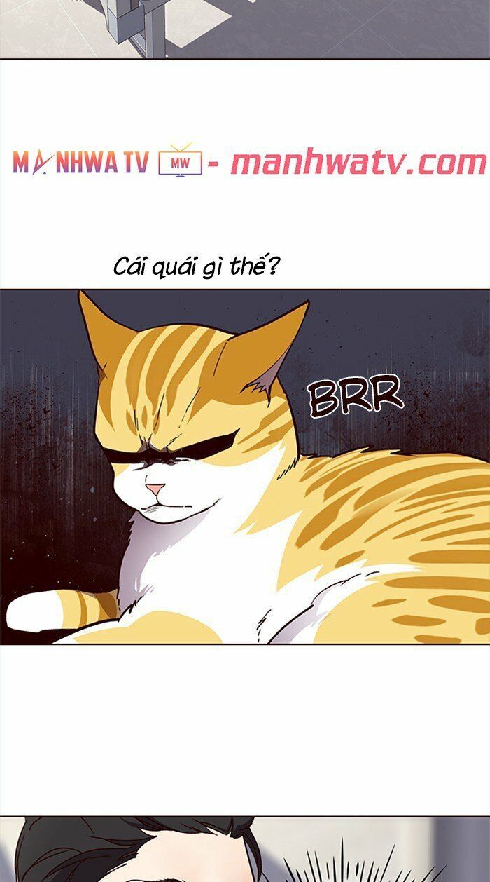 Hoá Thân Thành Mèo Chap 28 - Next Chap 29