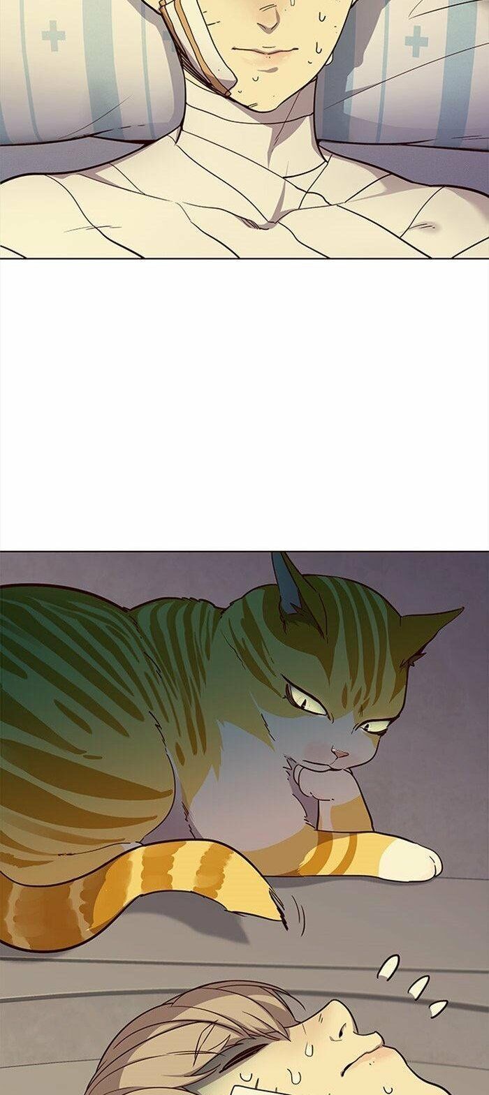 Hoá Thân Thành Mèo Chap 29 - Next Chap 30
