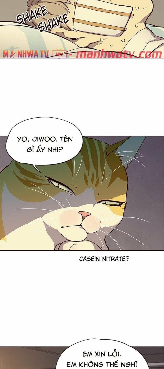 Hoá Thân Thành Mèo Chap 29 - Next Chap 30