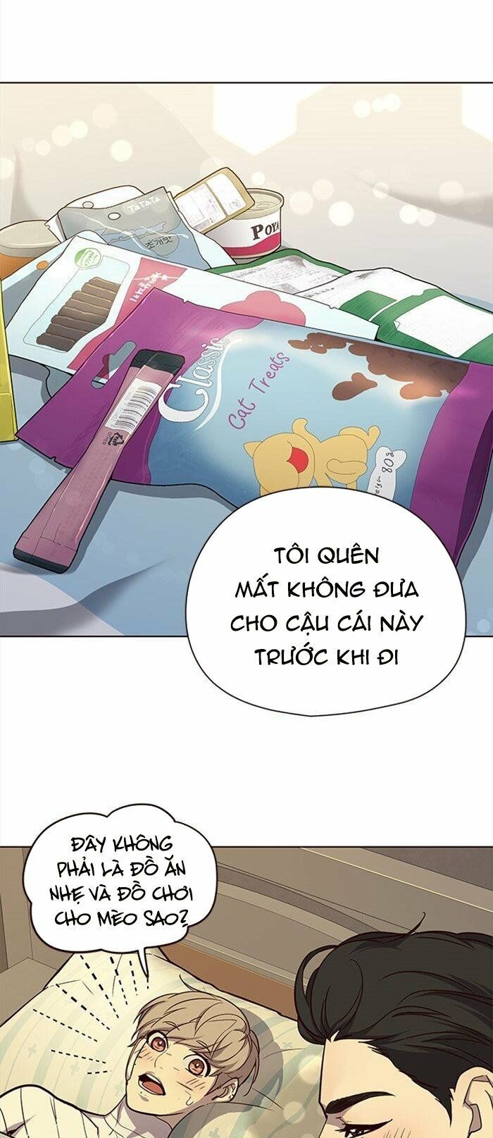 Hoá Thân Thành Mèo Chap 29 - Next Chap 30