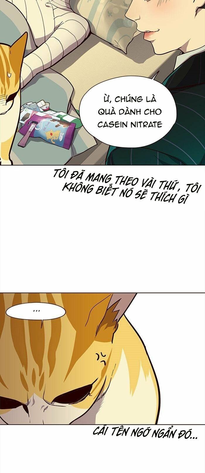 Hoá Thân Thành Mèo Chap 29 - Next Chap 30