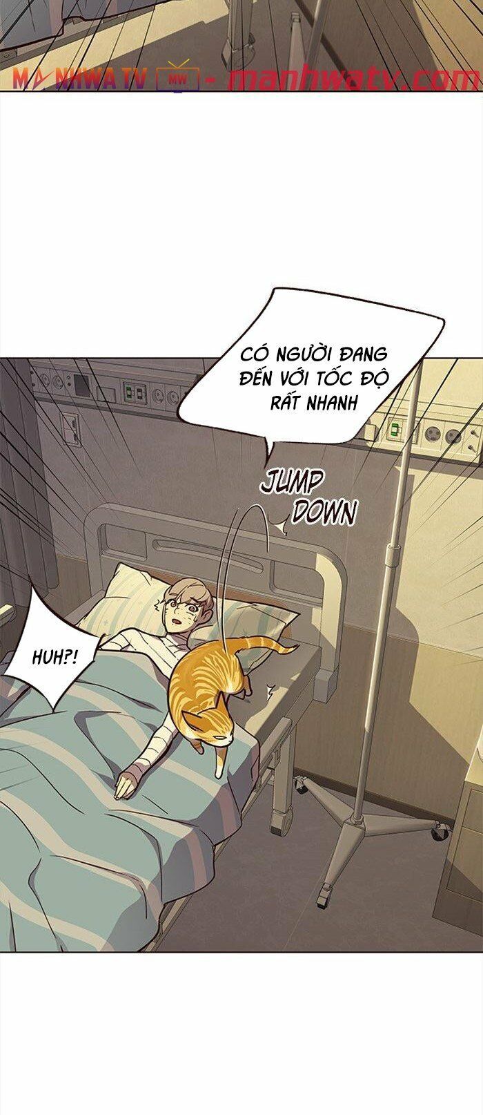 Hoá Thân Thành Mèo Chap 29 - Next Chap 30