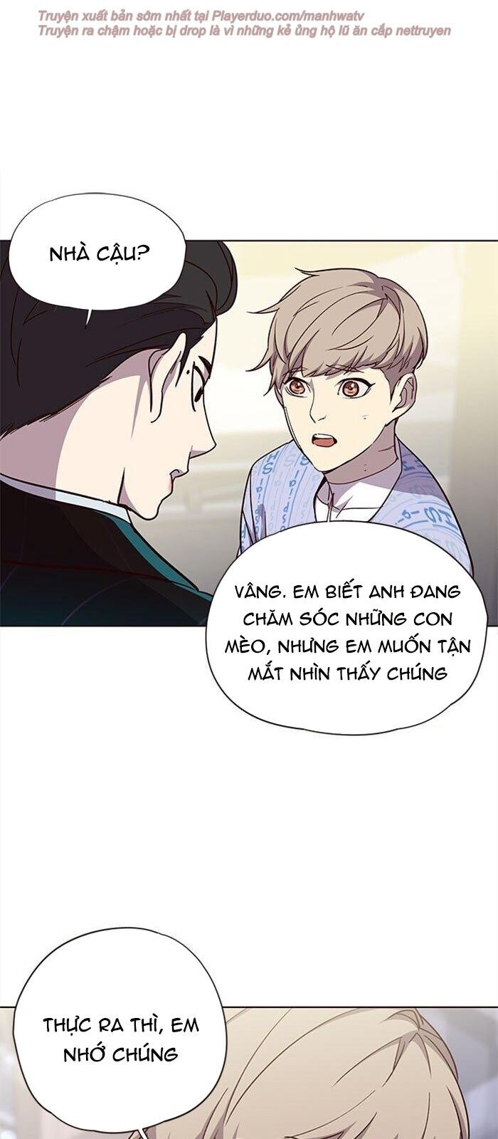 Hoá Thân Thành Mèo Chap 34 - Next Chap 35