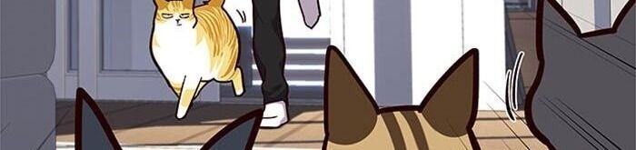 Hoá Thân Thành Mèo Chap 34 - Next Chap 35