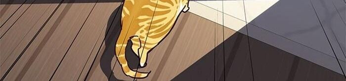 Hoá Thân Thành Mèo Chap 34 - Next Chap 35