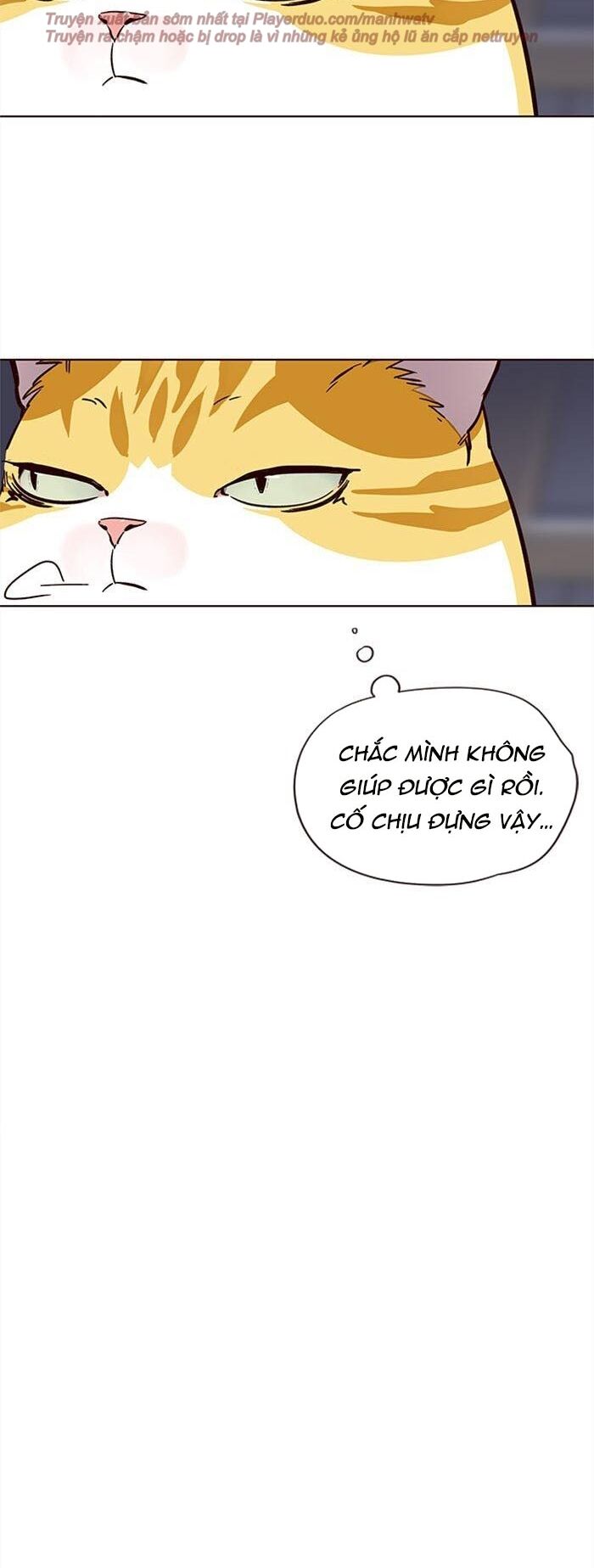 Hoá Thân Thành Mèo Chap 35 - Next Chap 36