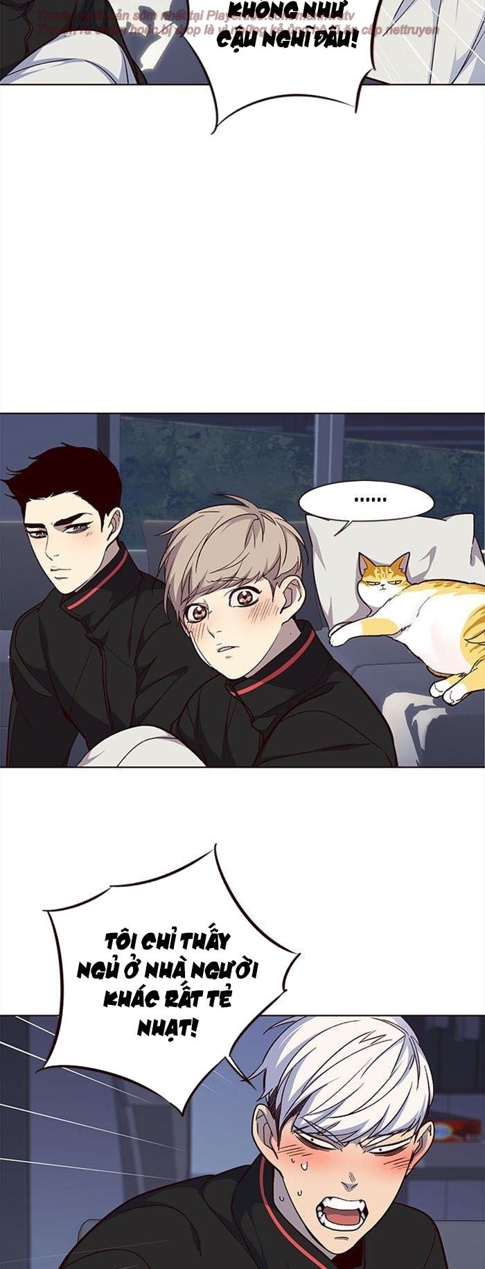 Hoá Thân Thành Mèo Chap 35 - Next Chap 36