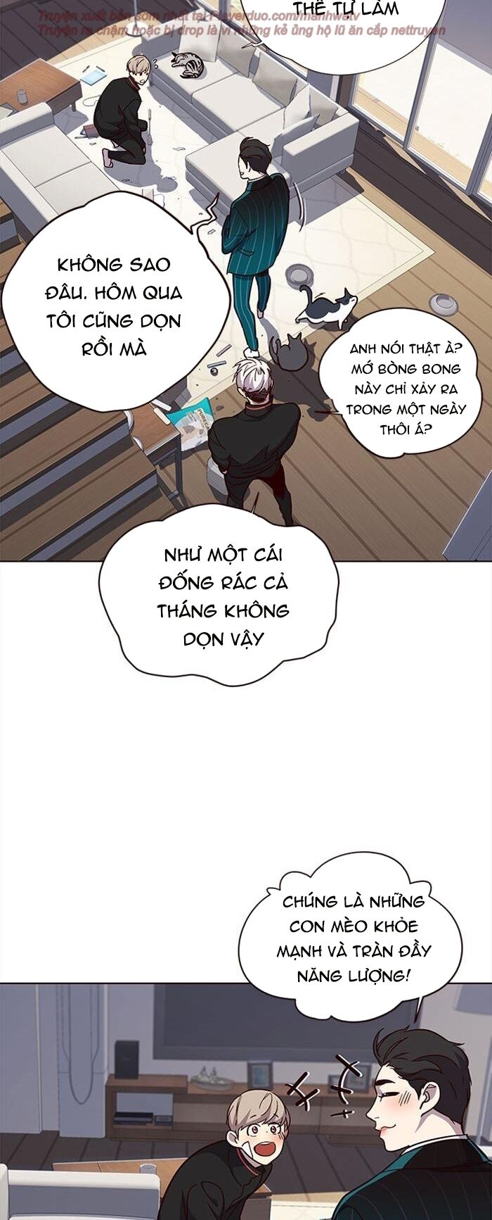 Hoá Thân Thành Mèo Chap 35 - Next Chap 36