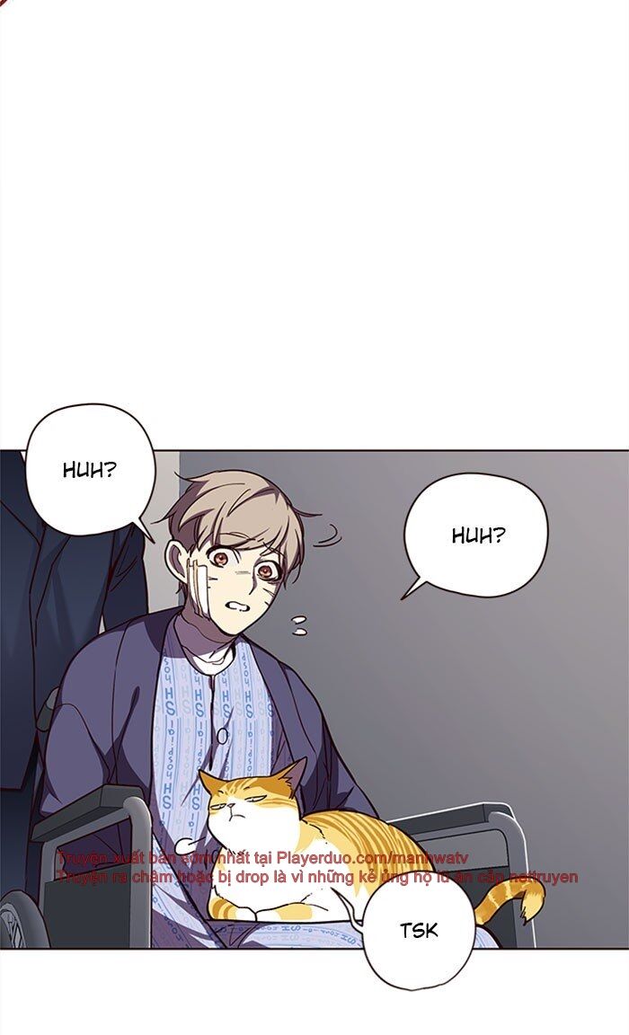Hoá Thân Thành Mèo Chap 32 - Next Chap 33