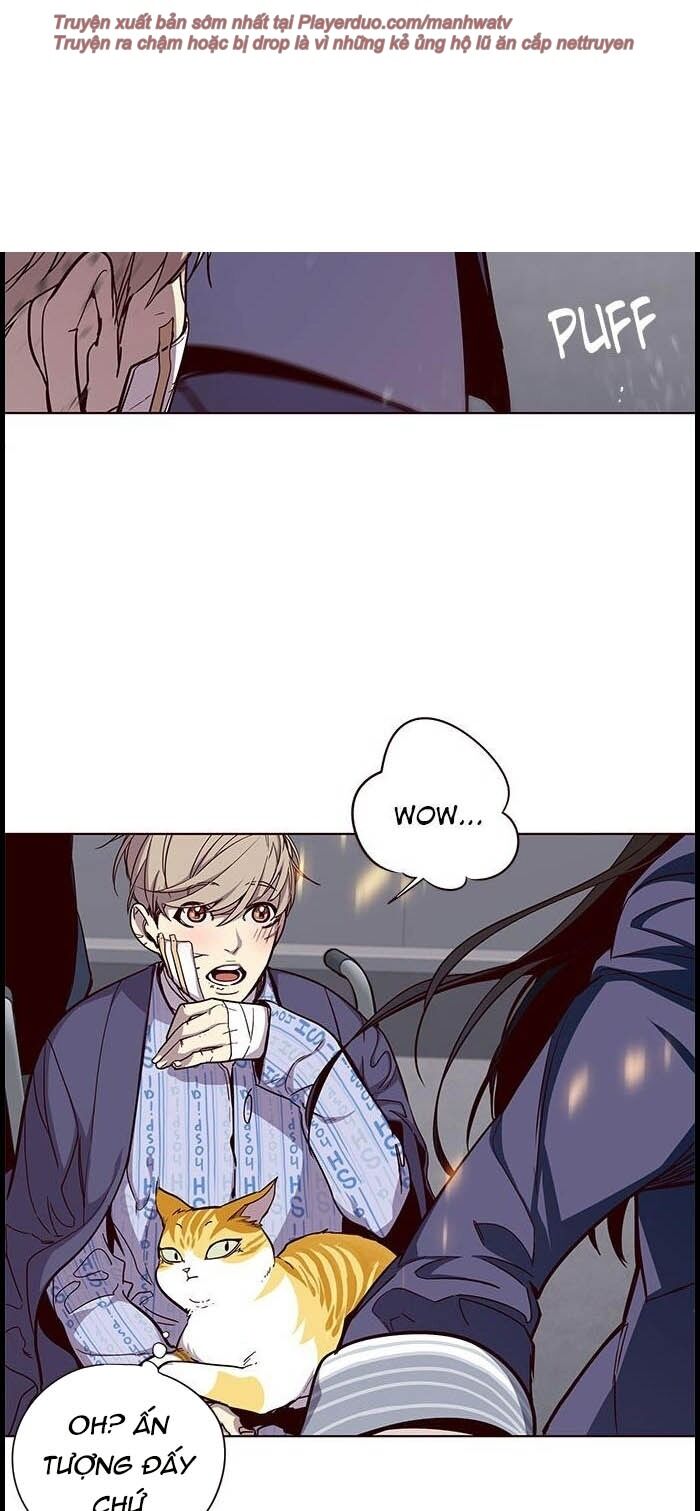 Hoá Thân Thành Mèo Chap 33 - Next Chap 34