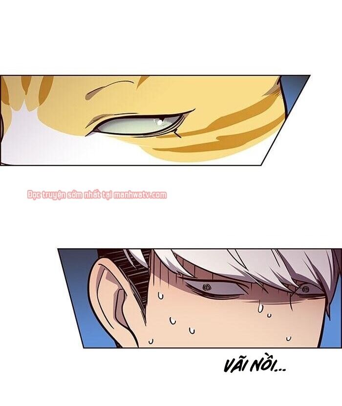 Hoá Thân Thành Mèo Chap 49 - Next Chap 50