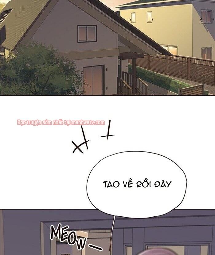 Hoá Thân Thành Mèo Chap 49 - Next Chap 50