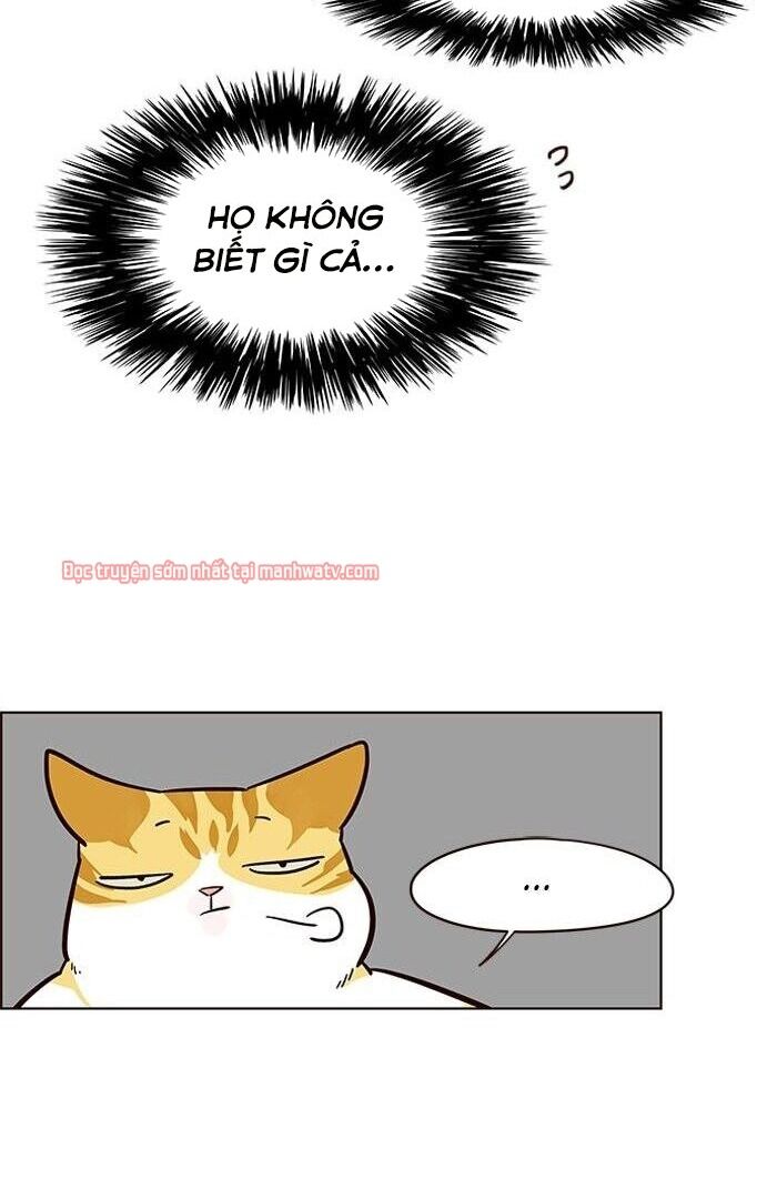 Hoá Thân Thành Mèo Chap 49 - Next Chap 50