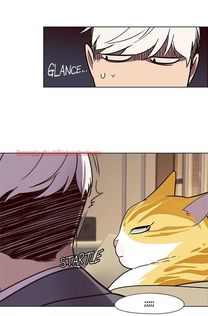 Hoá Thân Thành Mèo Chap 49 - Next Chap 50