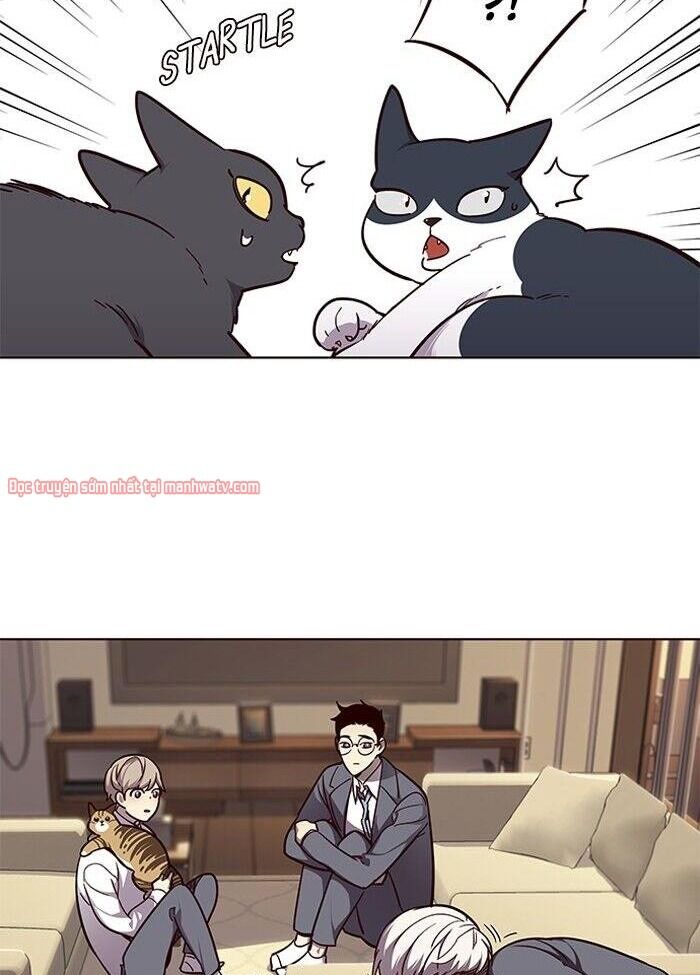 Hoá Thân Thành Mèo Chap 50 - Next Chap 51