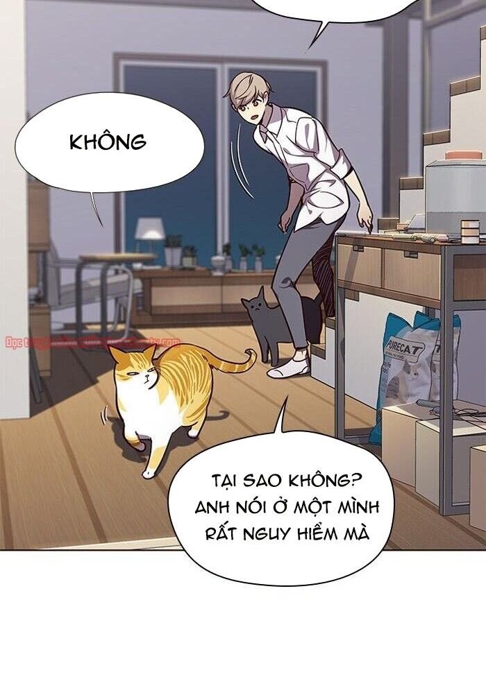 Hoá Thân Thành Mèo Chap 51 - Next Chap 52