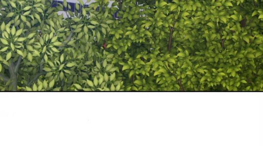 Gậy Gỗ Cấp 99+ Chap 12.5 - Next Chap 13.5