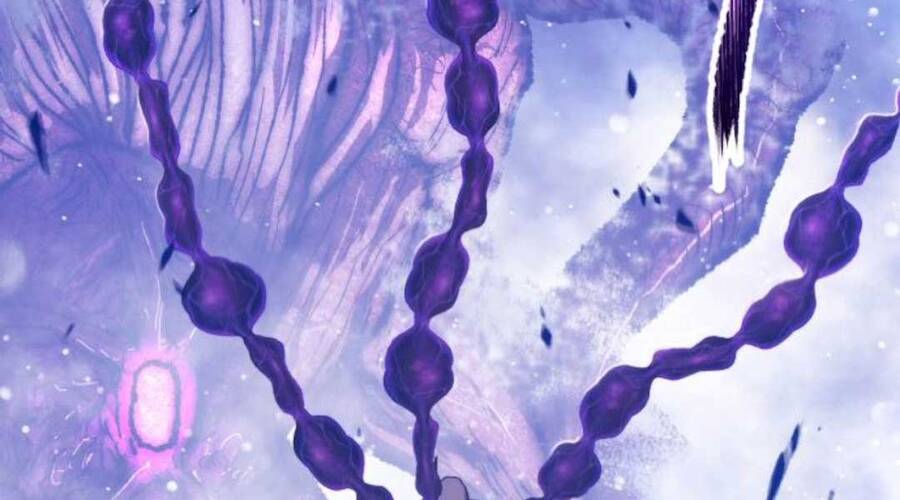 Gậy Gỗ Cấp 99+ Chap 12.6 - Next Chap 13.6